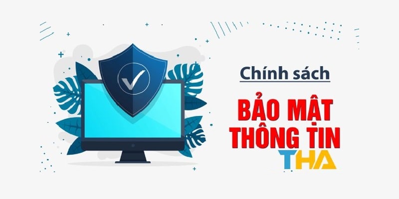 Chính sách bảo mật của Thabet như thế nào?